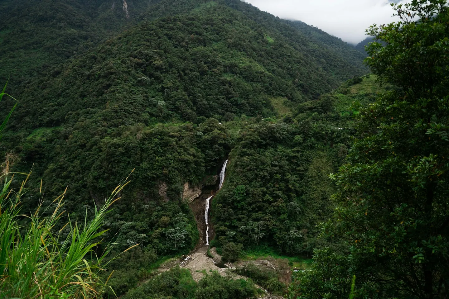 Cascada entre montañas de bosque verde